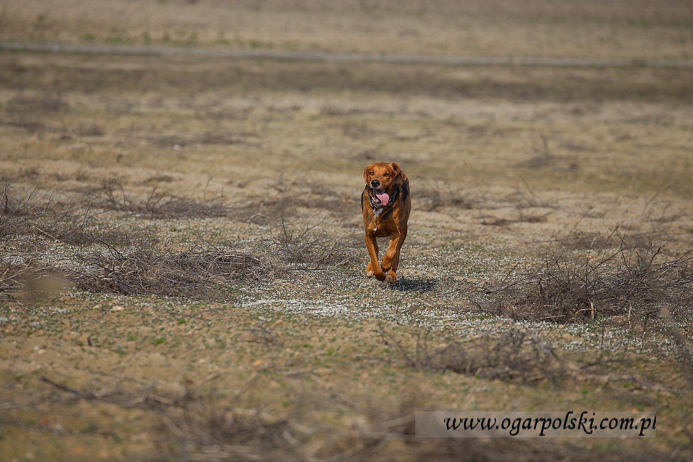 małe-IMG_8749.jpg