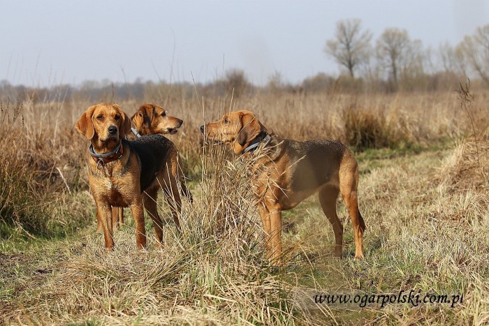 małe-IMG_8774.jpg