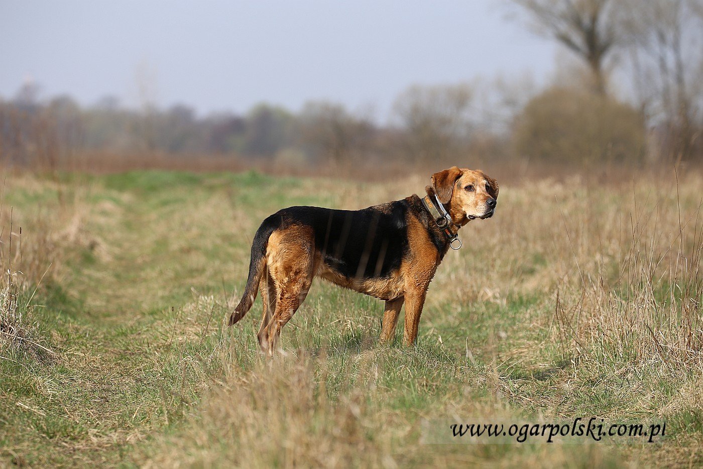 małe-IMG_8775.jpg