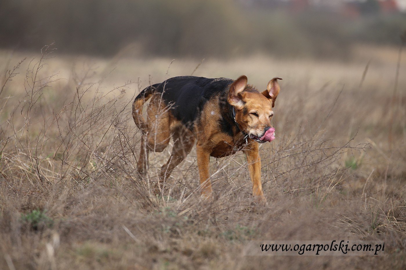 małe-IMG_8805.jpg