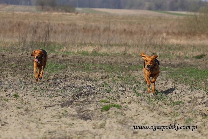 małe-IMG_8760.jpg