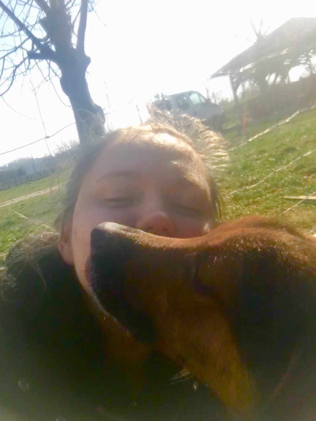 9EBA24B9-3E5C-4B11-8B68-CB05707502BD.jpeg