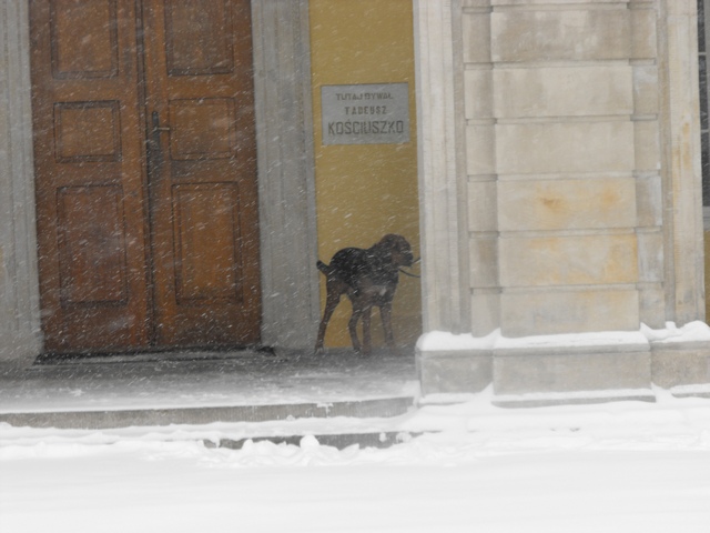 2010_0214Puławy0111.JPG