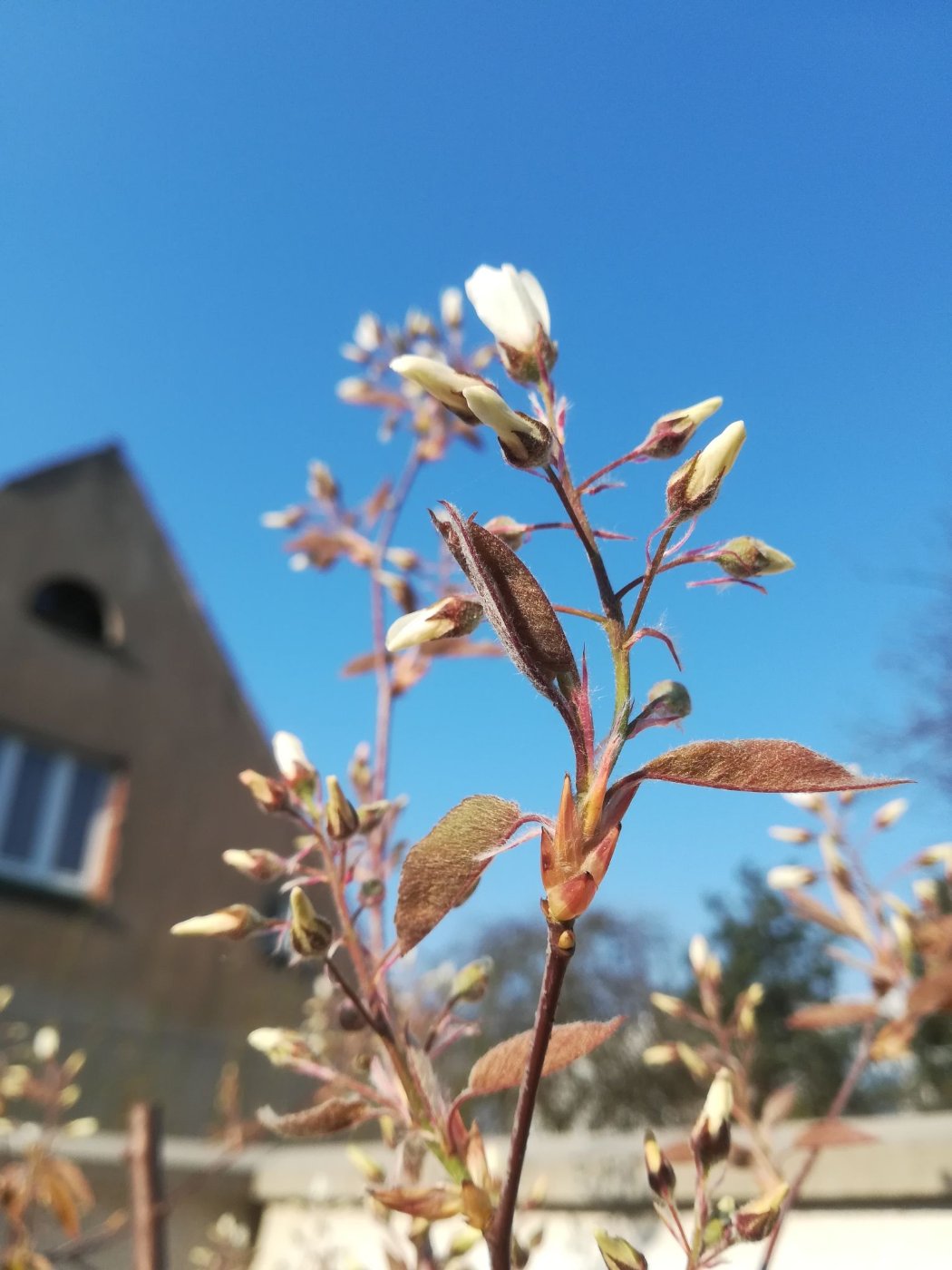 IMG_20190406_085649_R.jpg