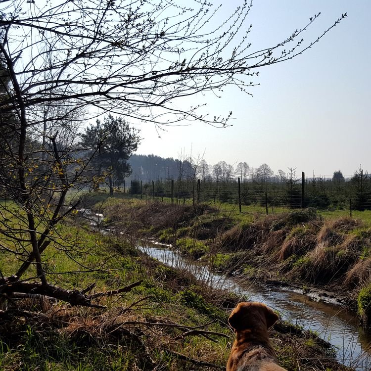 20190407_092045.jpg