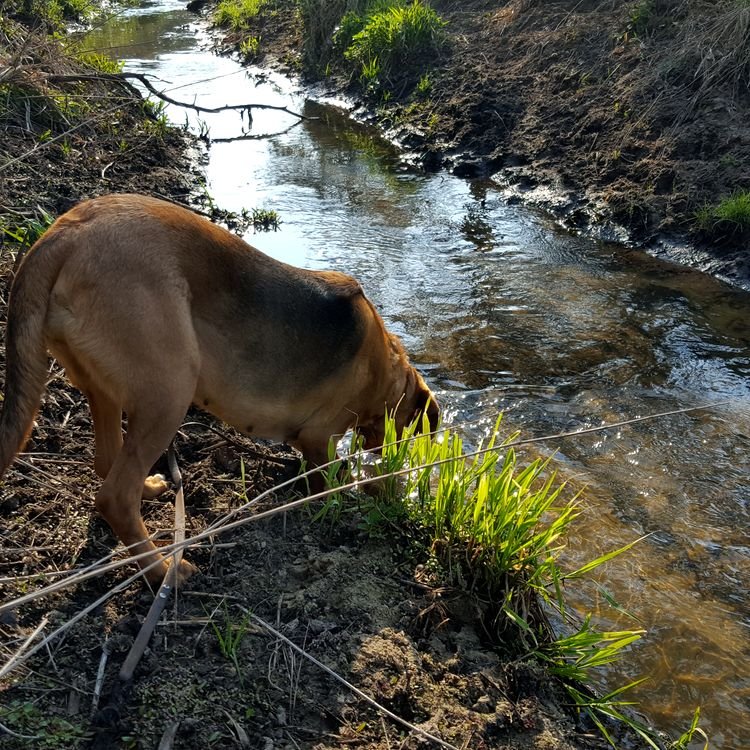 20190407_092626.jpg