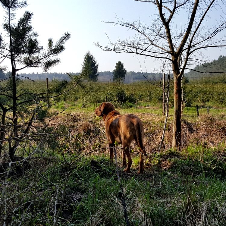20190407_092523.jpg