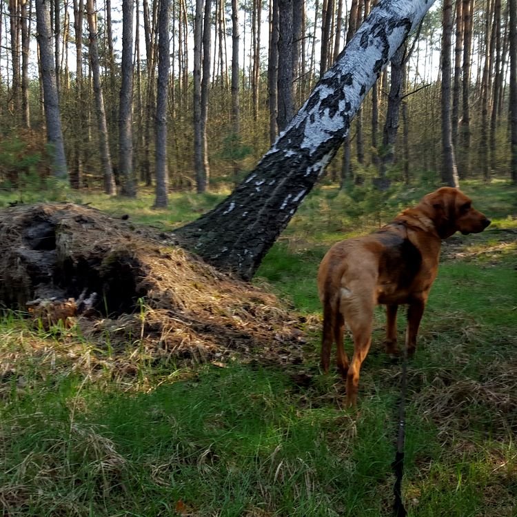 20190407_093625.jpg