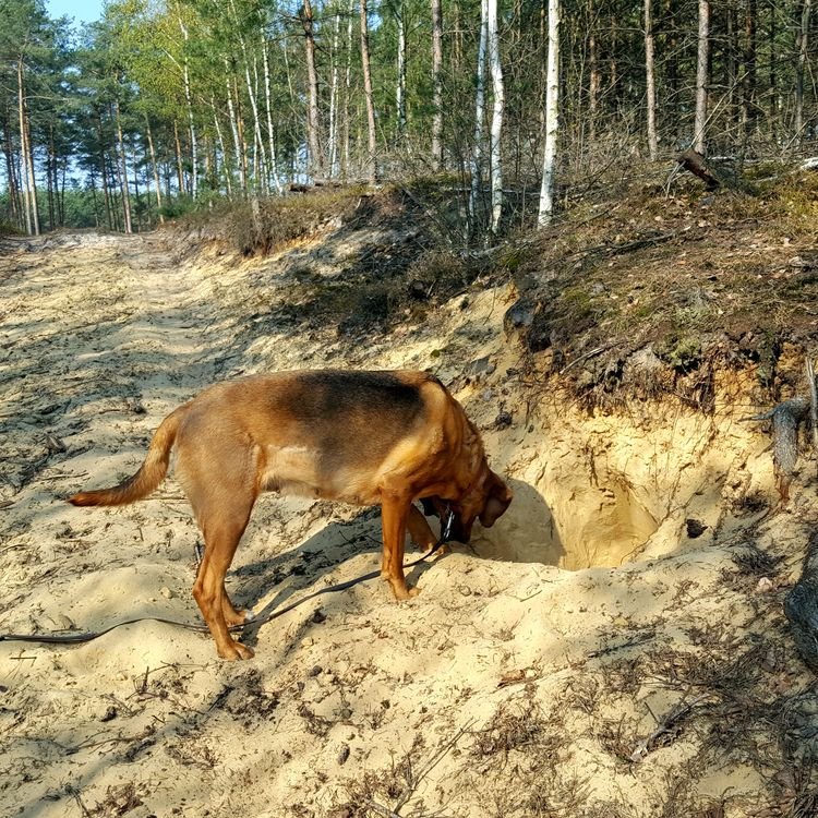 20190408_100215.jpg