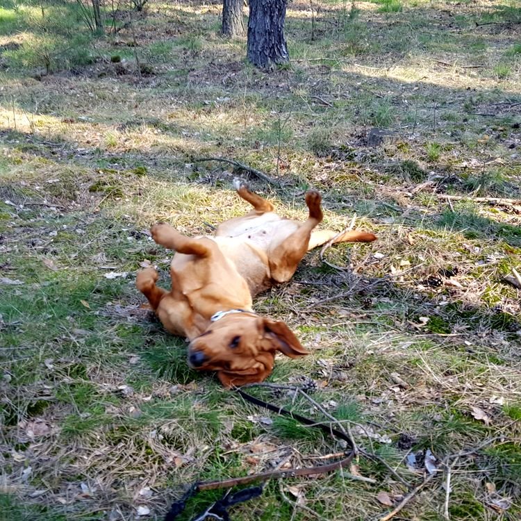 20190407_094212.jpg