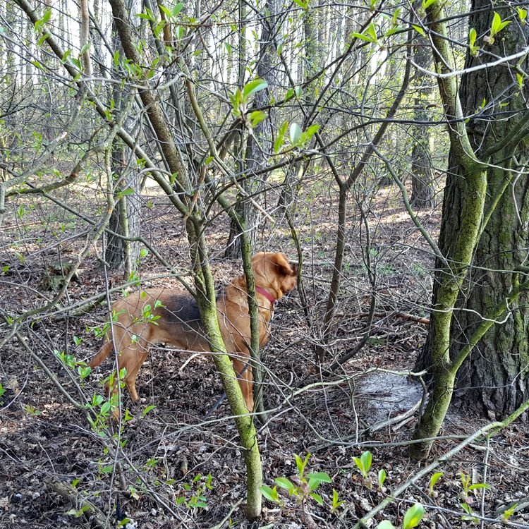 20190407_091826.jpg
