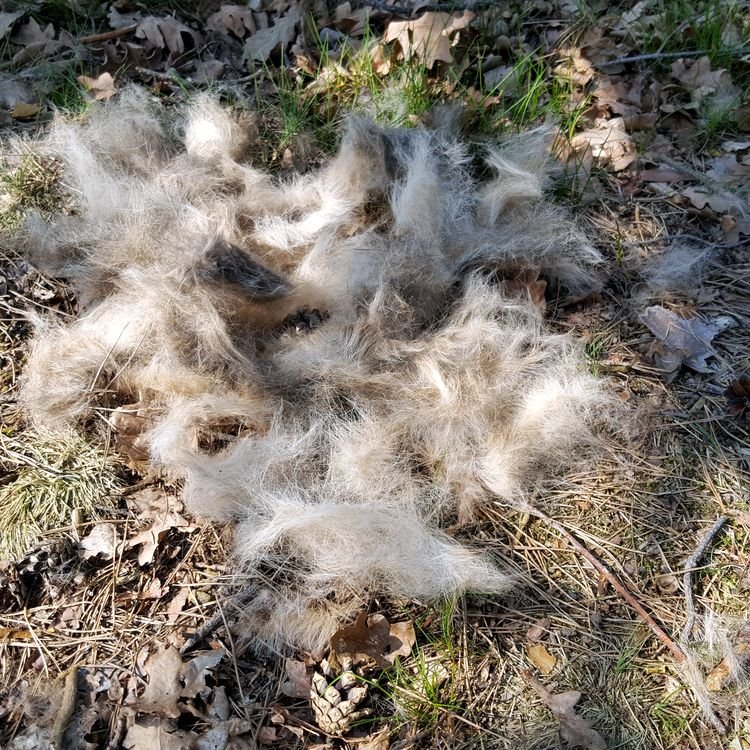 20190408_104828.jpg