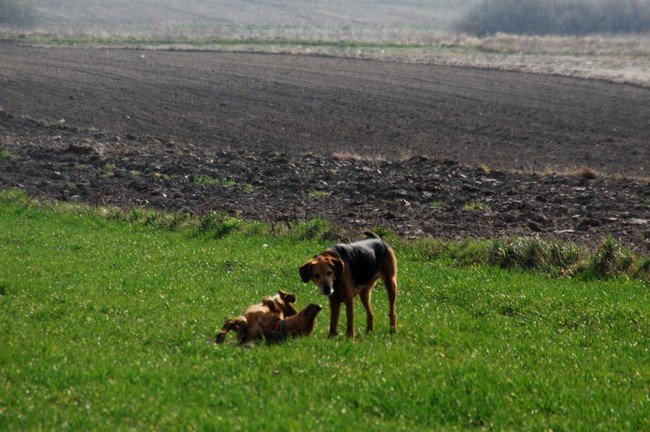 DSC_6918.JPG