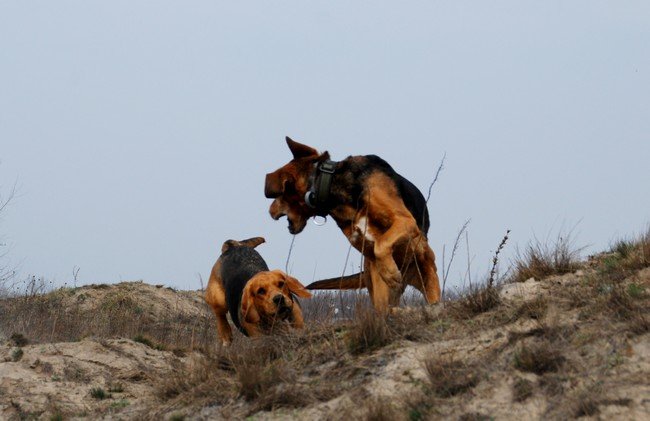 DSC_6966.JPG