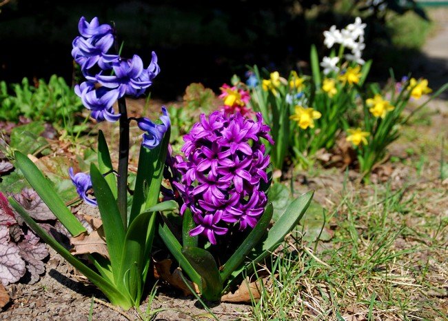 DSC_7000.JPG