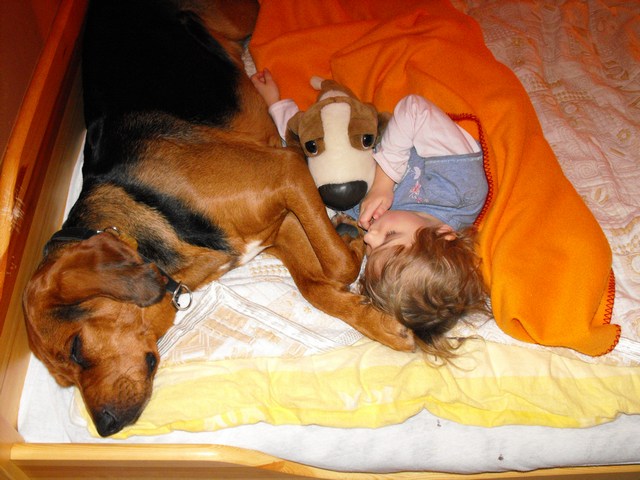 2010_0214Puławy0004.JPG