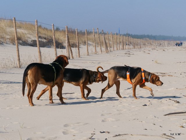 P1030673.JPG