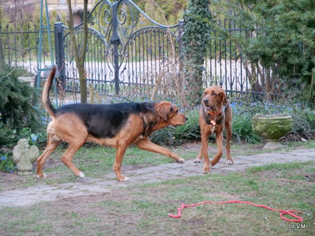 P1030766.JPG