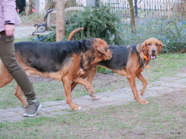 P1030821.JPG