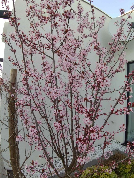 P_20190419_192504_1.jpg