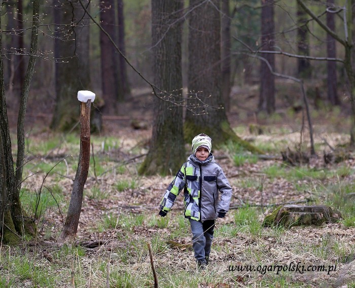 Sprawdzał czy aby na pewno słone.
