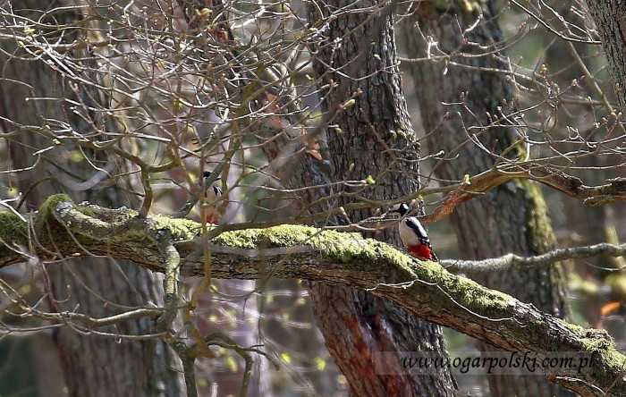 małe-IMG_9644.jpg