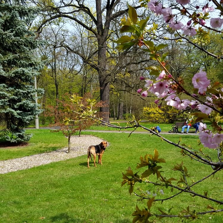 20190414_140924.jpg