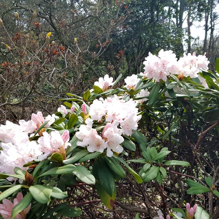 20190414_135415.jpg