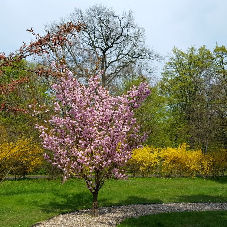 20190414_141019.jpg