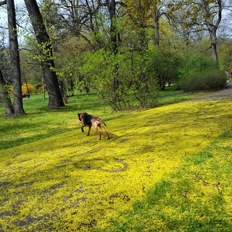 20190414_140619.jpg