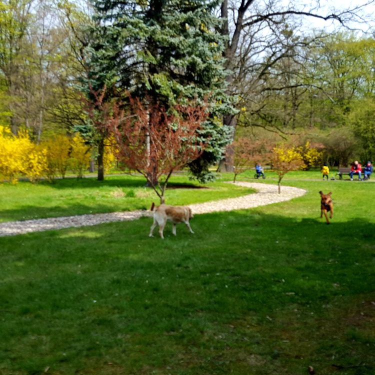 20190414_141025.jpg