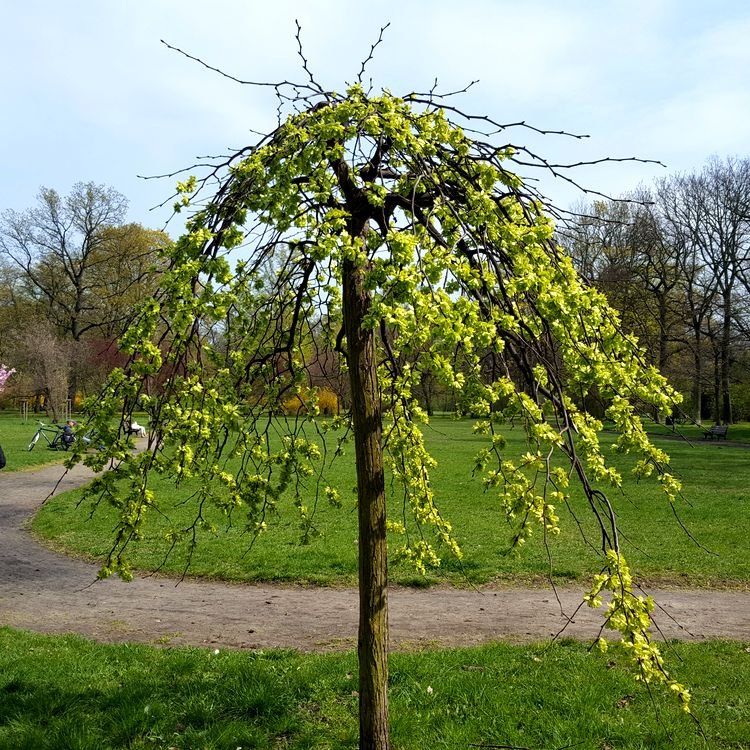 20190414_141449.jpg