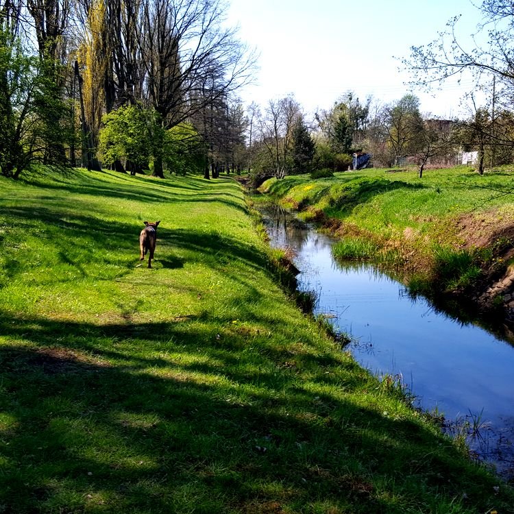 20190415_114425.jpg