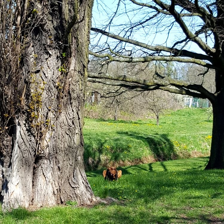 20190415_114809.jpg