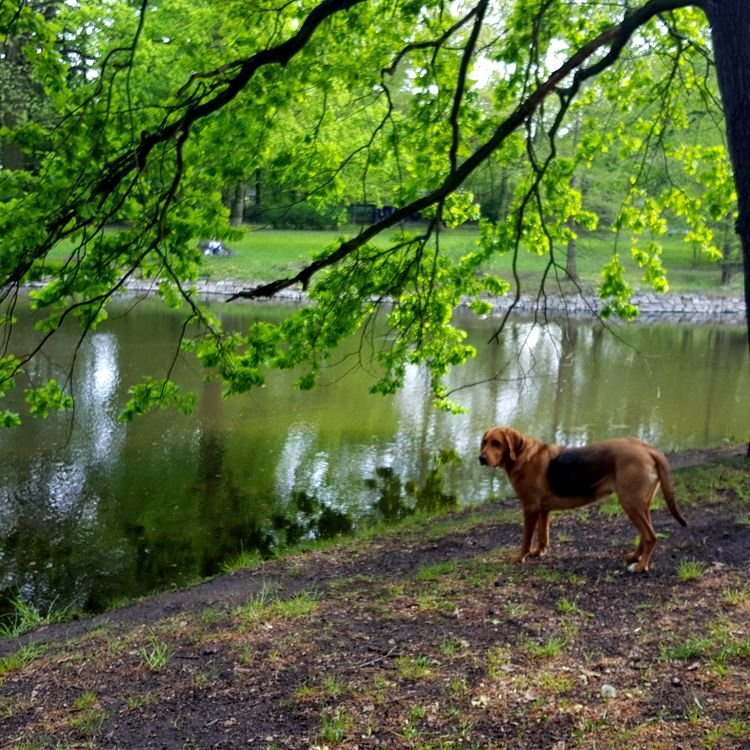 20190430_152147.jpg