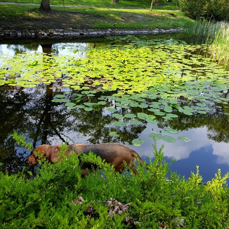 20190430_155931.jpg