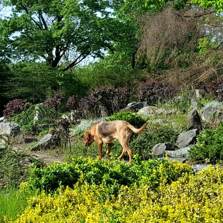 20190430_155736.jpg