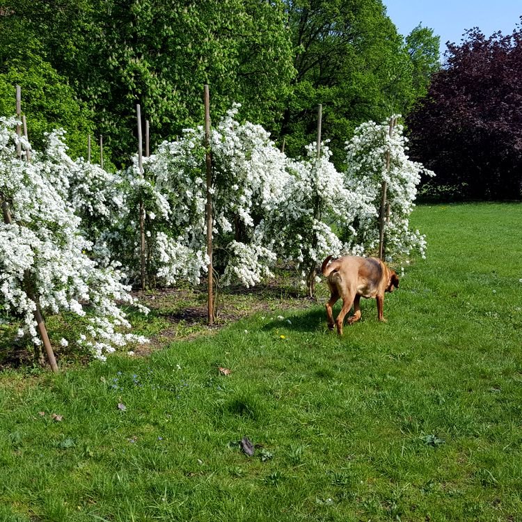 20190430_150839.jpg