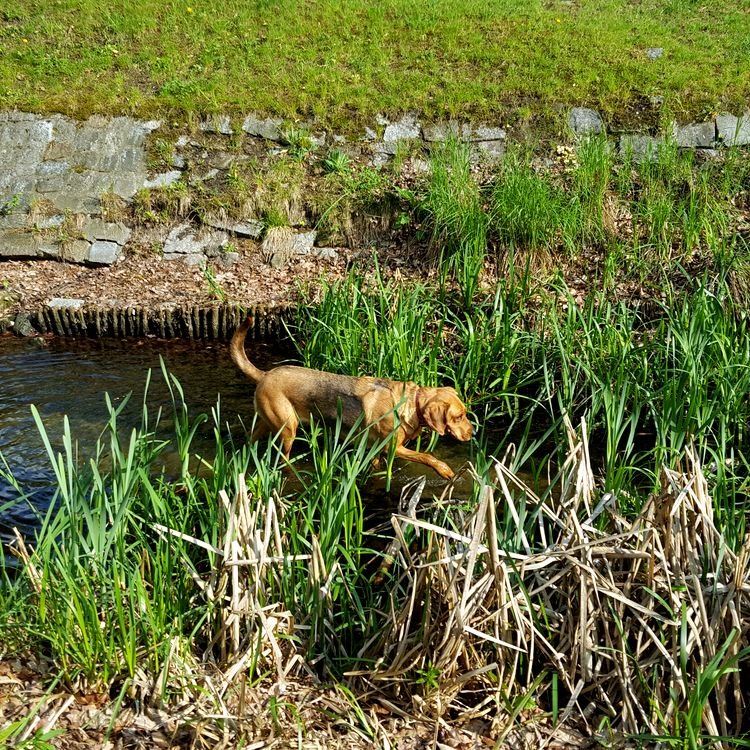 20190430_163513.jpg