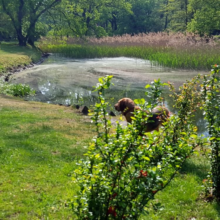 20190430_152539.jpg