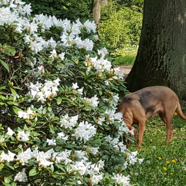 20190430_151530.jpg