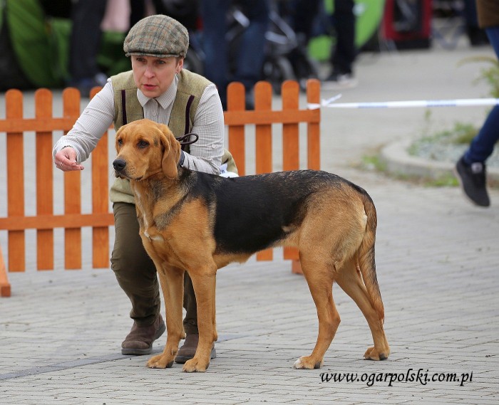 Nasz występ w Opolu 2019