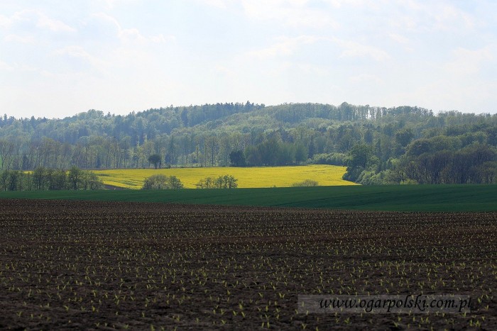 małe-IMG_9821.jpg