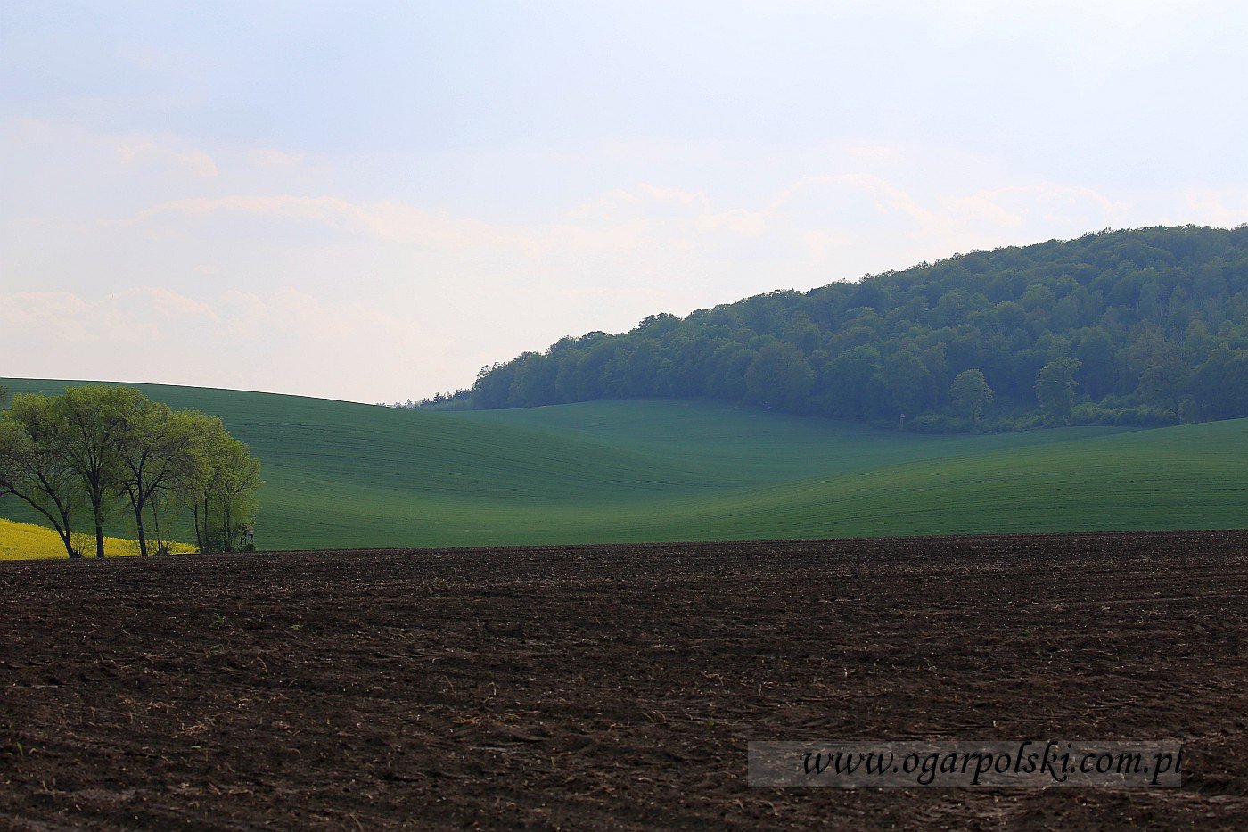 W domach z betonu ...