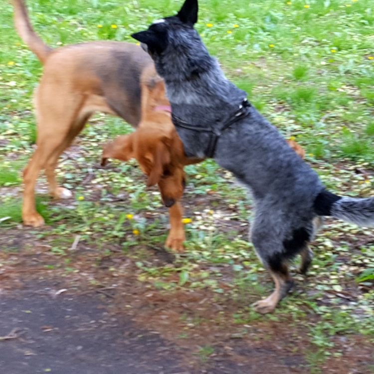 20190501_095533.jpg
