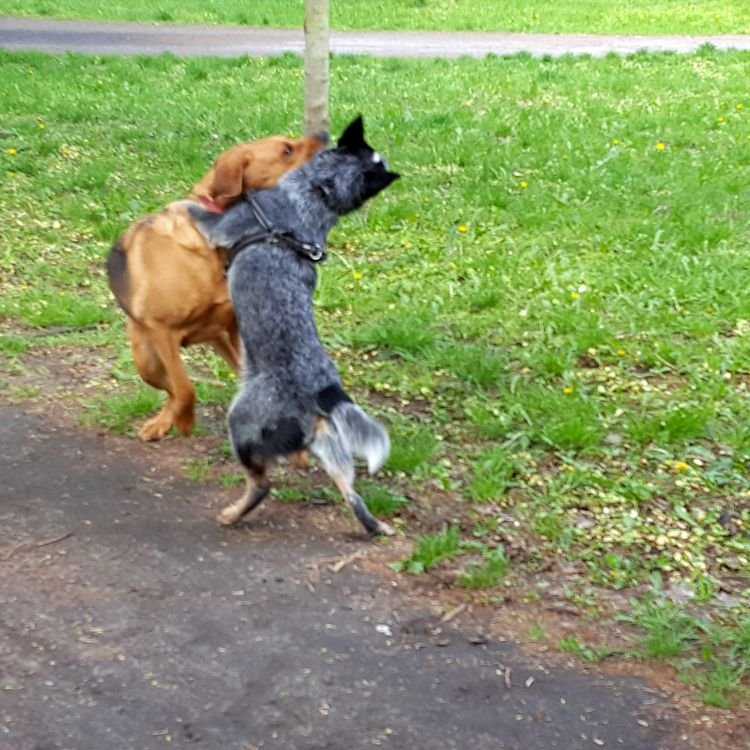 20190501_095558.jpg