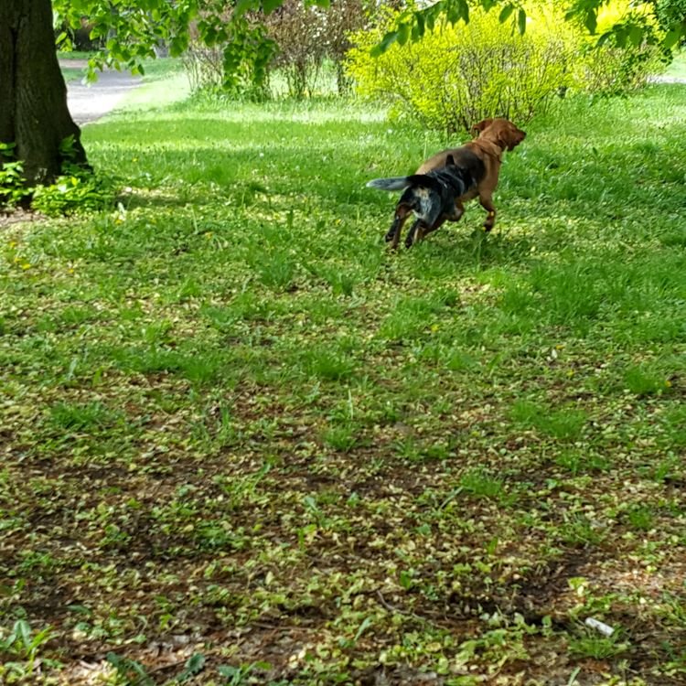 20190501_095448.jpg