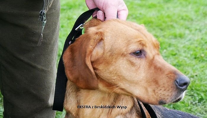 EKSTRA z Beskidzkich Wysp 03-01-01-0.jpg
