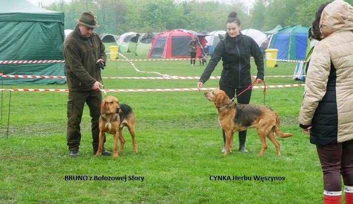 BRUNO I CYNKA 01-0.jpg