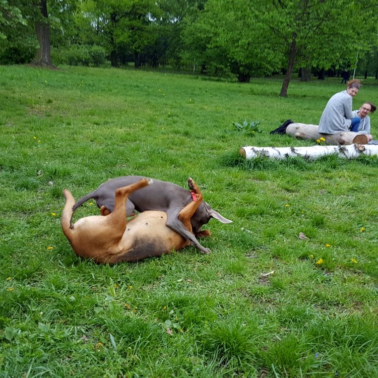 20190501_162002.jpg